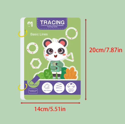 Reusable Wipe-Clean Workbook Set 4x. Whole Brain Development